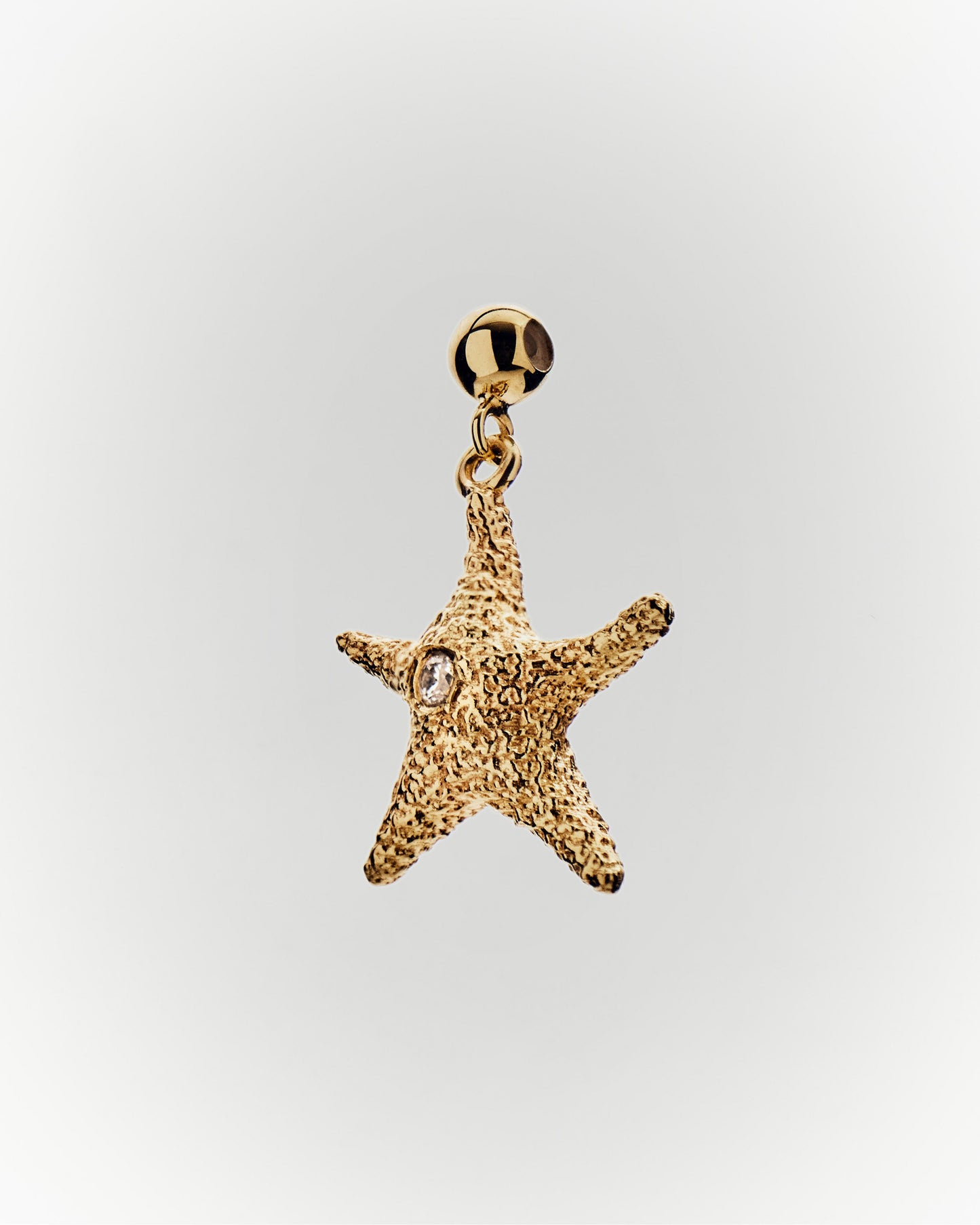 Estrella de mar Charm PDPAOLA