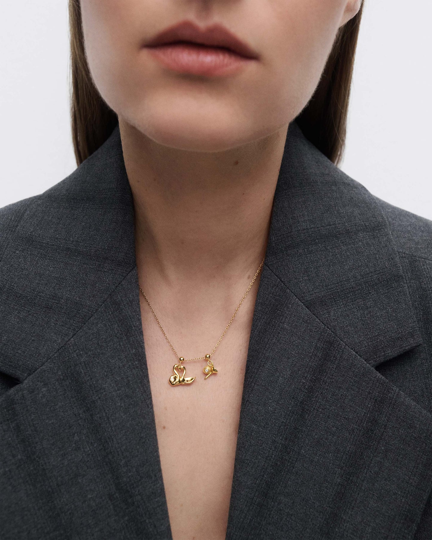 Cisnes corazón Charm PDPAOLA