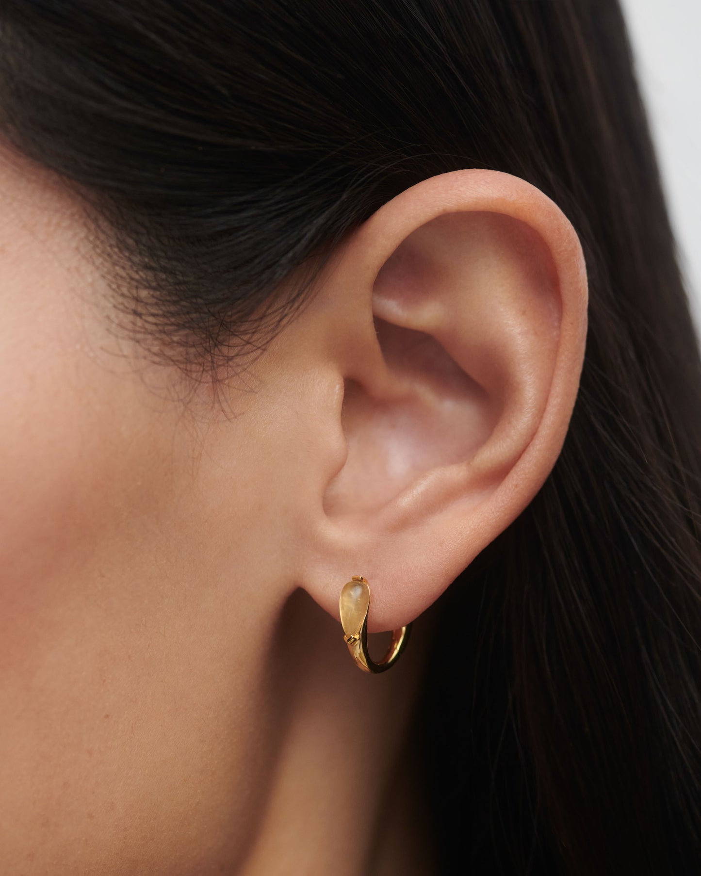 Aros Frenita Isla PDPAOLA