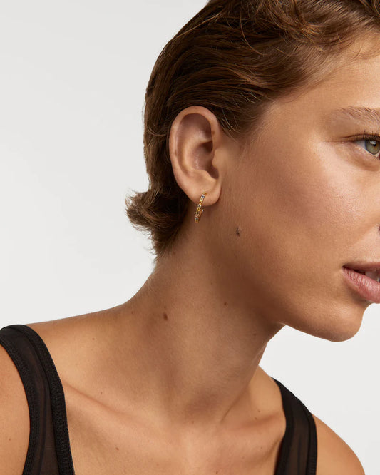 Aros Rainbow PDPAOLA