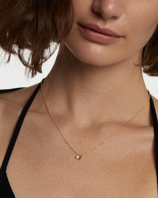 Collar Water PD Paola